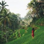 Bali Highlights : Nature, Waterfall, Rice Terraces and Volcano - Key Points