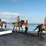 Bali Horse Riding Activity and Full-Day Trip in Ubud - Who Should Book This Tour?