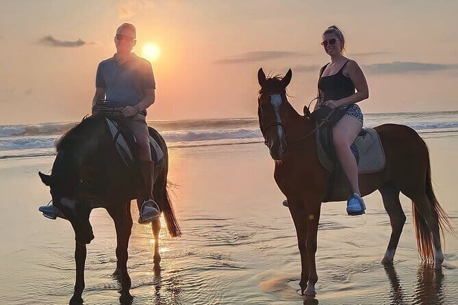 Bali Horse Riding Seminyak Beach Experience Private Transport - The Value Proposition