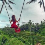 Bali Individual Route With Private English Speaking Driver - Who Would Love This Tour?