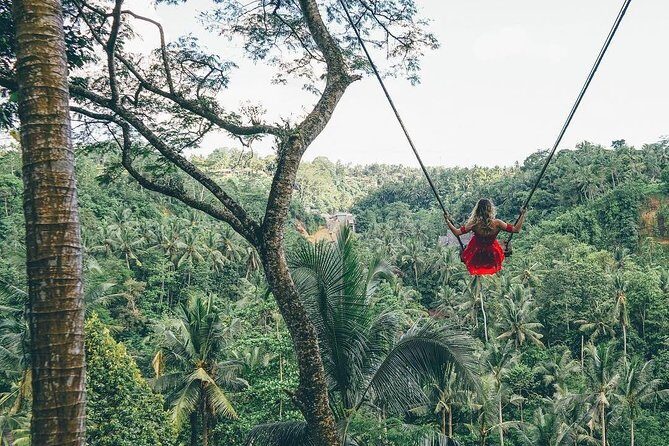 Bali Instagram Tour from Your Hotel (Private & Full-day) - Why This Tour Offers Great Value