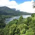 Bali Jungle Trekking in Beautiful Rainforest - Detailed Breakdown of the Itinerary