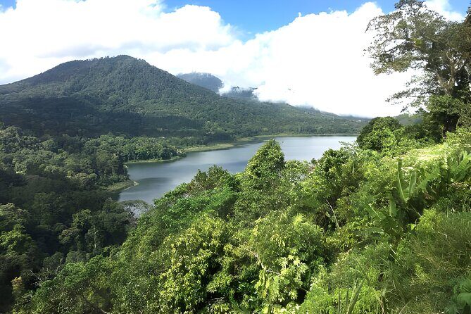 Bali Jungle Trekking in Beautiful Rainforest - Detailed Breakdown of the Itinerary