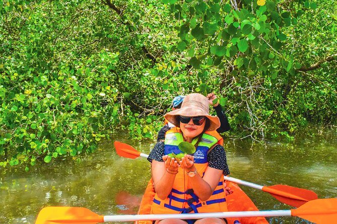 Bali Mangrove Canoeing Tour - The Authentic Benefits of This Tour