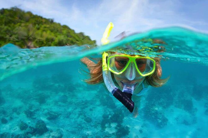 Bali Menjangan Island Snorkeling Day Tour - What’s Included and What’s Not