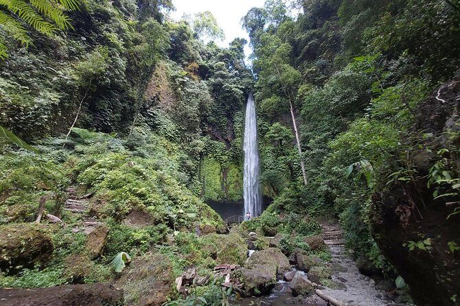 Bali Most Scenic Waterfalls Trekking - Why This Tour Is a Great Choice
