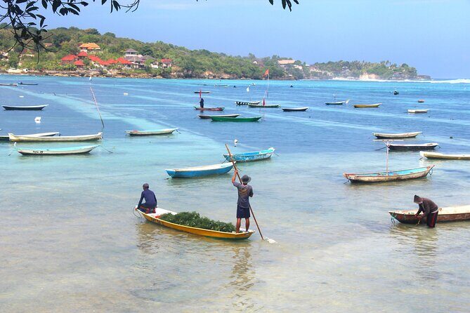 Bali Nusa Lembongan Islands Private Tour - All Inclusive - Practical Details and What to Expect