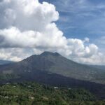 Bali Private Car Charter With English Speaking Driver To Ubud Area - The Practical Aspects & What to Expect