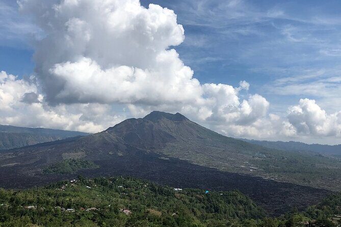 Bali Private Car Charter With English Speaking Driver To Ubud Area - The Practical Aspects & What to Expect