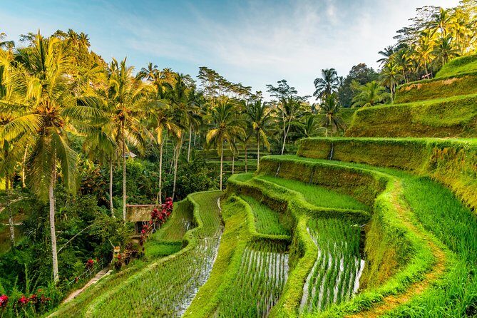 Bali Private Car Hire with Driver - The Sum Up