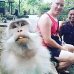 Bali Private Custom Tour - Bali Car Hire with Driver - Detailed Review of the Bali Private Custom Tour