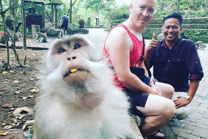 Bali Private Custom Tour - Bali Car Hire with Driver - Detailed Review of the Bali Private Custom Tour