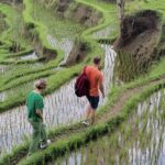 Bali Private Driver and Car for Customize Tours - How the Tour is Structured