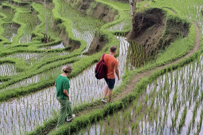 Bali Private Driver and Car for Customize Tours - How the Tour is Structured