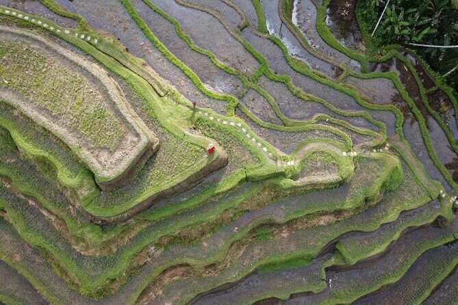 Bali Private Photographer & Drone - FAQ
