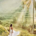 Bali Private Tour - Best of Ubud - All Inclusive - Authentic Experiences Based on Real Reviews