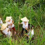 Bali Pure trek with spiritual journey, purification ceremony, local priest -Ubud - Who Will Love This Tour?