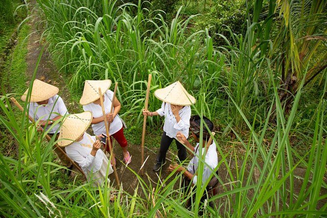 Bali Pure trek with spiritual journey, purification ceremony, local priest -Ubud - Who Will Love This Tour?
