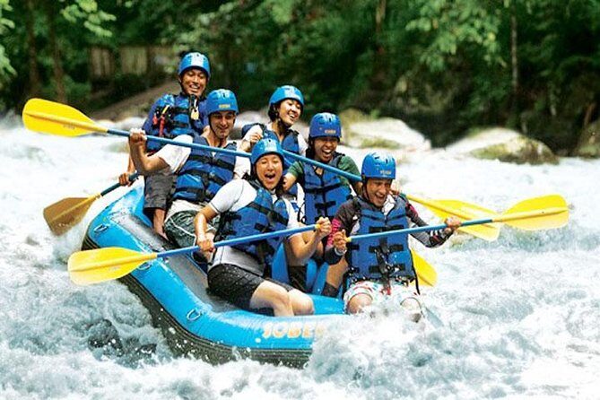 Bali Rafting and Private Combination Ubud Tour Packages - Who Would Love This Tour?