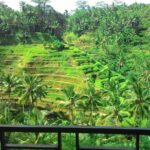 Bali Rafting + Rice Terrace + 1,5Hrs Balinese Massage + Lunch - Authentic Experiences and Practical Tips