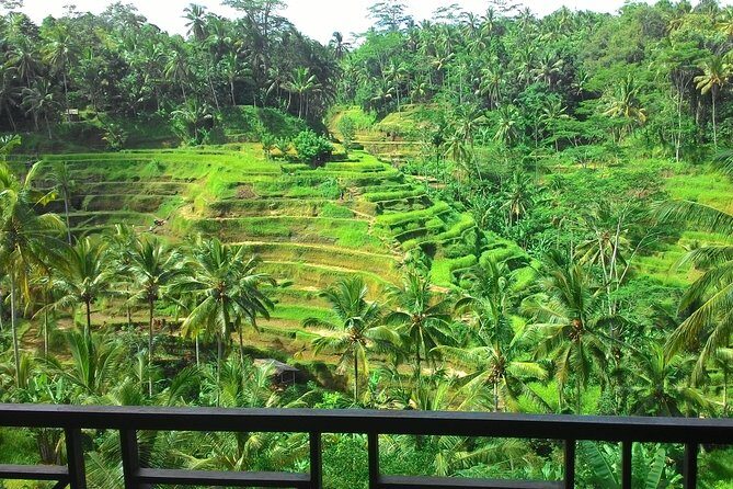 Bali Rafting + Rice Terrace + 1,5Hrs Balinese Massage + Lunch - Authentic Experiences and Practical Tips