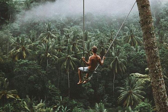 Bali romantic floating breakfast - jungle swing - monkey forest - Ubud art shop. - Who Will Love This Tour?