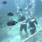 Bali Seawalker - What to Expect from Bali Seawalker