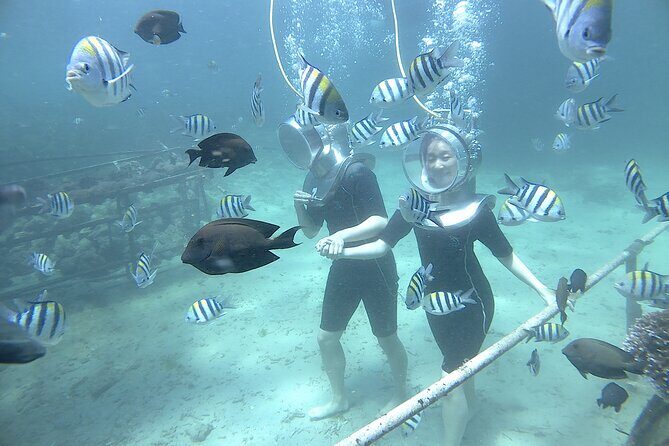 Bali Seawalker - What to Expect from Bali Seawalker