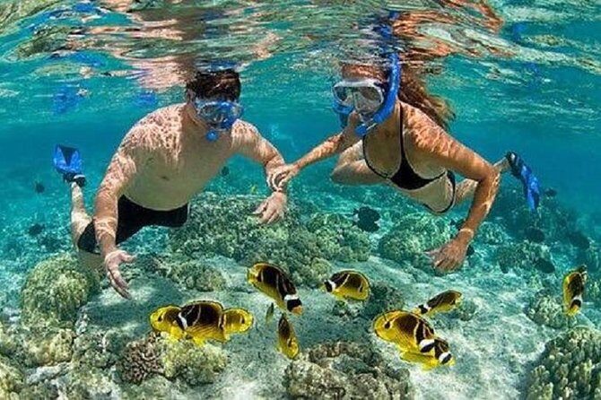 Bali Snorkeling at Blue Lagoon with Transport and Lunch - What Could Be Better?