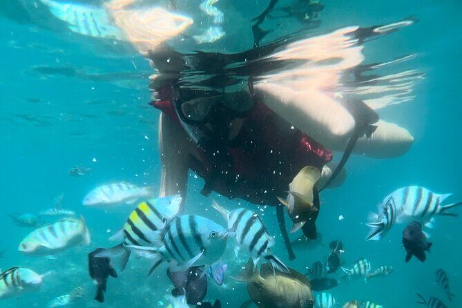Bali Snorkeling at Blue Lagoon with Waterfall Include Lunch - Transportation and Equipment