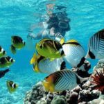 Bali Snorkeling Blue Lagoon and Tanjung Jepun All Included - What to Expect: The Experience in Detail