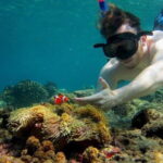 Bali Snorkling Blue Lagoon Beach with Lunch & Private Transport - Why This Tour Stands Out