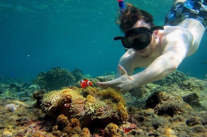 Bali Snorkling Blue Lagoon Beach with Lunch & Private Transport - Why This Tour Stands Out
