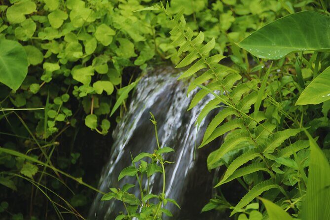 Bali Spiritual: Blessing Ceremony, Pristine Nature and Transfer - Food, Relaxation, and the Mountain Village Walk