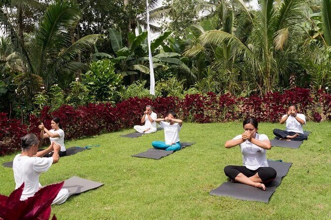 Bali Spiritual: Palm Reading, Purification, and Healing - What to Expect from the Bali Spiritual Experience