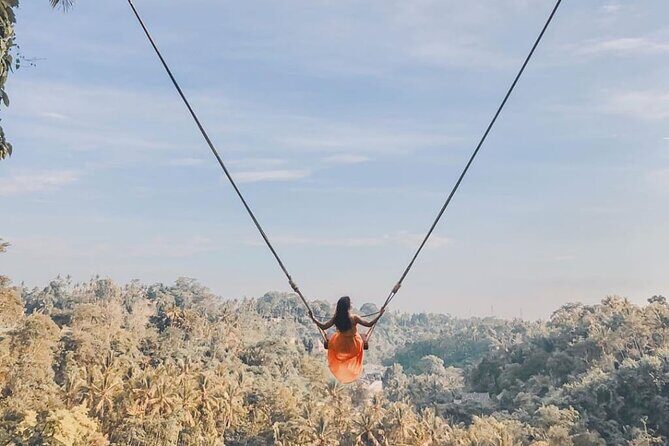 Bali Swing, Monkey Forest and Waterfall Tour - Who Will Love This Tour?