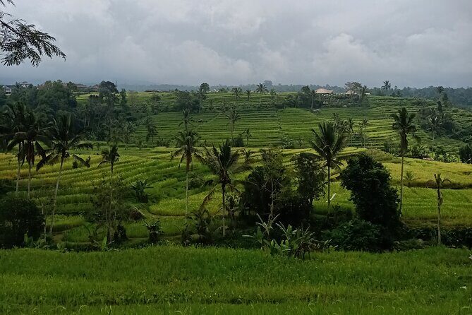 Bali Tanah Lot, Ulun Danu Beratan & Jatiluwih Rice Terrace - Value for Money