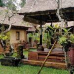 Bali Tour: Kintamani Tour with Lunch - Considerations Before Booking