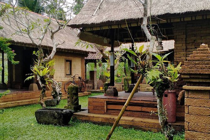 Bali Tour: Kintamani Tour with Lunch - Considerations Before Booking