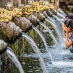 Bali Tribal Private Tour - Experience the best of Ubud, Bali - Exploring the Itinerary: What You Can Expect
