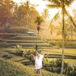 Bali Ubud private Tour with Ubud Bali Driver - FREE WIFI - What’s Included and What You’ll Need to Arrange