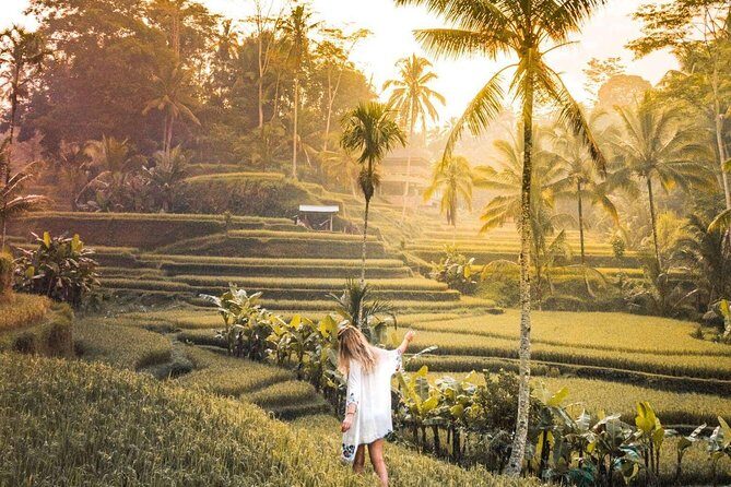 Bali Ubud private Tour with Ubud Bali Driver - FREE WIFI - What’s Included and What You’ll Need to Arrange
