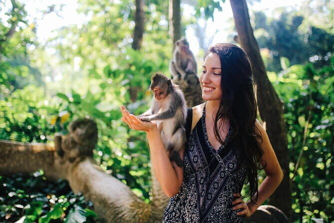 Bali: Ubud (Temple, Spring, Rice Terraces, & Waterfall) - Additional Optional Stops