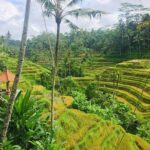 Bali Ubud Tour - Why This Tour Offers Real Value
