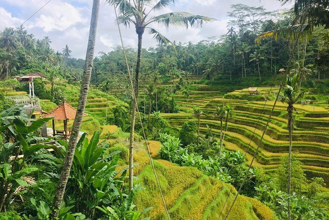 Bali Ubud Tour - Why This Tour Offers Real Value