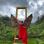 Bali: Ubud Zipline, Swing, Sky Bike in a Private Rice Terrace - Dive Into the Details: What to Expect from the Tour