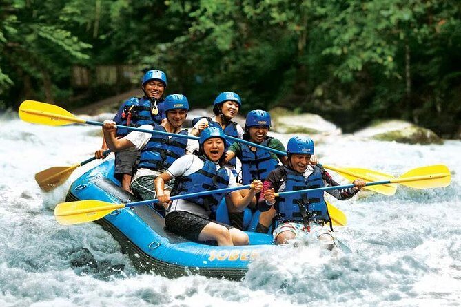Bali Water Rafting with Lunch & Private Transfer - Who Should Book This?