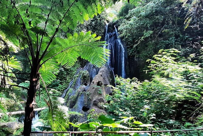 Bali Waterfall in One Day Tours, Hidden Waterfall - All Inclusive - Who Should Consider This Tour?