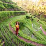 Bali White Water Rafting - Why Visitors Keep Coming Back