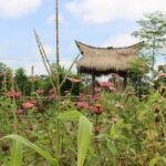 Balinese Cooking Class at Organic Farm - The Sum Up